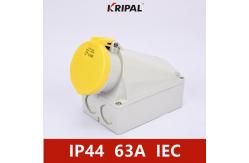 China IP44 4P 63Amp Industrial Power Socket Wall Mounted IEC standard supplier