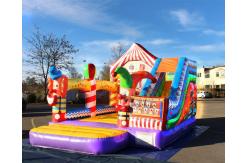 China Commercial Inflatable Bouncer Slide Digitial Printing Logo supplier