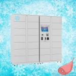 Market Goods Refrigerated Locker With Multi Languages And WiFi Module for sale