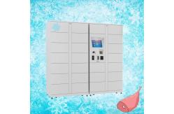 China Market Goods Refrigerated Locker With Multi Languages And WiFi Module supplier