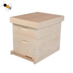 Durable 10 Frames 20mm Thick Pine Wooden Bee Hive 2 Layers for sale