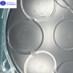Silicon Carbide Ceramic Tray With CVD SiC Coating Size Customized High-temperature Sintering for sale
