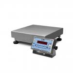 TRB Single Cell Weighbridge IP65 Floor Weighing Scale for sale