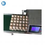 Small Size Egg Marking Equipment Customize Printer With Clean Maintenance Equipment