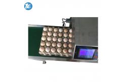 China Professional Egg Breeding Machine Date Coding Machine One Year Warranty supplier