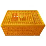 Poultry Broiler Quail Pigeon Plastic Chicken Transport Cages for sale