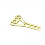 Orthopedic Implants Trauma Plate Distal Radius Multi-Axial Locking Plate for sale