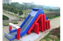 China Custom Giant Inflatable Slide With Lovely Theme Hand Painting supplier