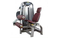 China Multiple Exercises Pin Loaded Resistance Equipment Leg Press Machine supplier