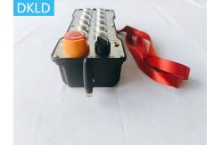 China 12 Way Single Speed Explosion-Proof Remote Control supplier