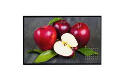 China 55 Open Frame LCD Panel 55 Inch 3000nits 4k Digital Poster Monitor supplier