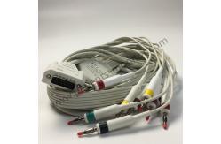 China PHiliph Page Writer TC20 Long 10 Lead Patient Cable IEC REF 989803175911 supplier