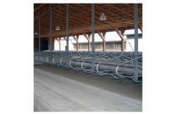 China Hot Galvanized Free Stall Barn ISO9001 Free Stall Loops supplier