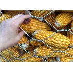 6x8cm 2.8mm Galvanized Gabion Hexagonal Wire Mesh For Corn And Garden for sale