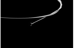 China Alligator Biopsy Forceps Instrument Medical Accessories For Disposable Endoscopes supplier