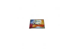 China MZM601EZ1-1 21.6 inch 4K LCD Screen OLED Display supplier