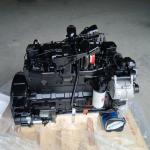 Chinese Cummins Diesel Engine 4bt 6bt 6 Cylinder Engine 5.9L