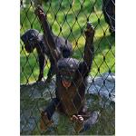 Plain Weave Stainless Steel Zoo Mesh High Safety Without Toxic Material-Monkey for sale