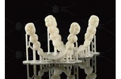 China CAD/CAM Digital Removable Partial Dentures Deep Pink Computer Printed Dentures supplier