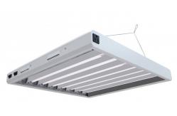China T5 Fluorescent Grow Light System Flexibility 2FT Led Grow Lamp Energy - Efficient supplier