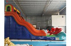 China Factory Commercial Goldfish Inflatable Slide Inflatable Dry Slides For Outdoor supplier