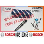 0445 120 053 Common Rail Injector 0 445 120 053 nozzle injector 0445120053 for Engine for sale