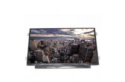 China B101AW06 V0 Slim LCD Touch Panel Display 10.1 Inch Laptop Screen supplier