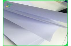 China OEM Offset Uncoated Woodfree Paper Jumbo Roll 70gsm 80gsm For Notebook supplier