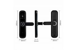 China Biometric Fingerprint Keypad Keyless Door Lock Smart Home Tuya APP Wifi supplier