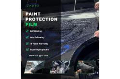 China 10 Years Warranty High Gloss Paint Protection Film Self Healing PPF Car Wrap supplier