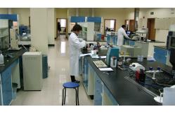 China Spo2 Extension Cable manufacturer