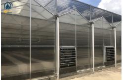 China Organic Herb Greenhouse Polycarbonate Polyhouse With Automated Climate Control Systems supplier