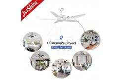 China White Ceiling Fan With Light 5 Plastic Blade DC Motor Energy Saving supplier