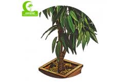 China Tropical Mango Trees For Sale Chinese Goods Wholesale Artificial Mango Tree supplier