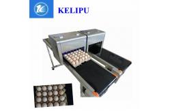 China Electronic Smart Eggs Edible Image Printer For Batch Number / Expiration Date supplier
