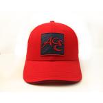 Professional Acrylic Wool Sports Team Baseball Hat Size 56-58cm for sale