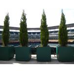 Rectangular Modern Fiberglass Planters Customized 30-Day Crafted Timeless