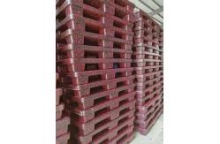 China Expanded Polypropylene Stackable Plastic Pallets 1200x1000mm supplier