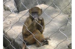 China Hand Woven Zoo Wire Mesh Pongidae Enclosure 60 / 90 Degree Mesh Angle supplier