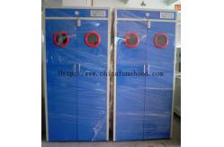 China Practical Ventilated Gas Cylinder Cabinet Rustproof With Alarm System supplier
