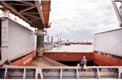 China Approved 3rd Party Inspection Services , 3rd Party Inspection Onboard Documentation supplier