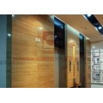 Low Noise VVVF Residential Passenger Elevator With Electric Door Motor for sale
