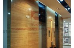 China Low Noise VVVF Residential Passenger Elevator With Electric Door Motor supplier
