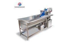 China Vibration Salad Making Vortex Fruit And Vegetable Washing Machine supplier