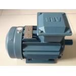 ABB Drive Motor M3BP160 M3G BP162 501 Totally Enclosed Frameproof Motor for sale