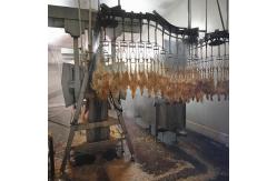 China 500BPH Automatic Poultry Slaughtering Equipment Chicken Slaughter Line 304 supplier