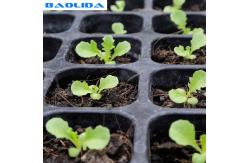 China Movable Greenhouse Rolling Benches Breeding Nursery Seedling Size Customized supplier