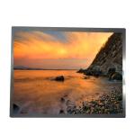 12.1 inch lcd display panel 800(RGB)×600 lcd screen AA121ST01 for sale