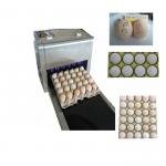 Six Nozzles At The Same Time Printing High Efficiency Eggs Ink-Jet Printing Machine for sale