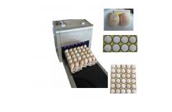China Convenient Transportation Egg Batch Number Printing Machine For Green Food Logo supplier